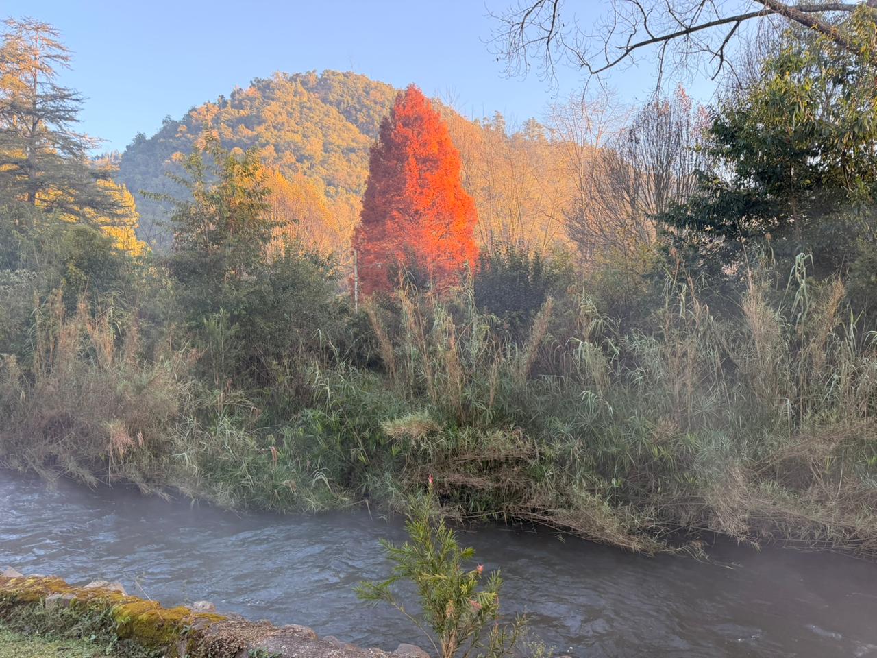 Autumn landscape
